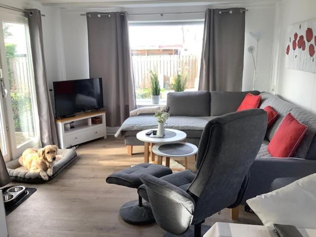 Ferienhaus Meise Wervershoof Exteriér fotografie