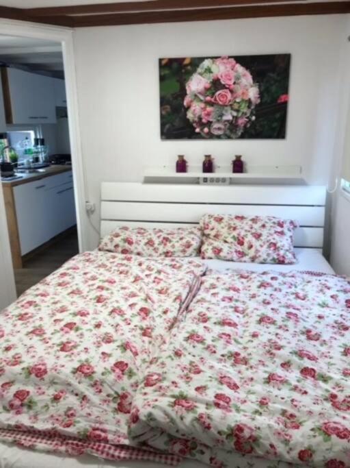 Ferienhaus Meise Wervershoof Exteriér fotografie